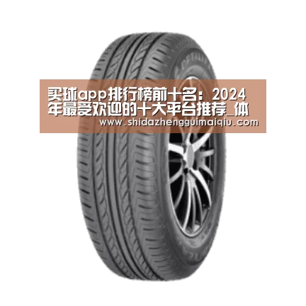 十大正规买球app产品名称六
