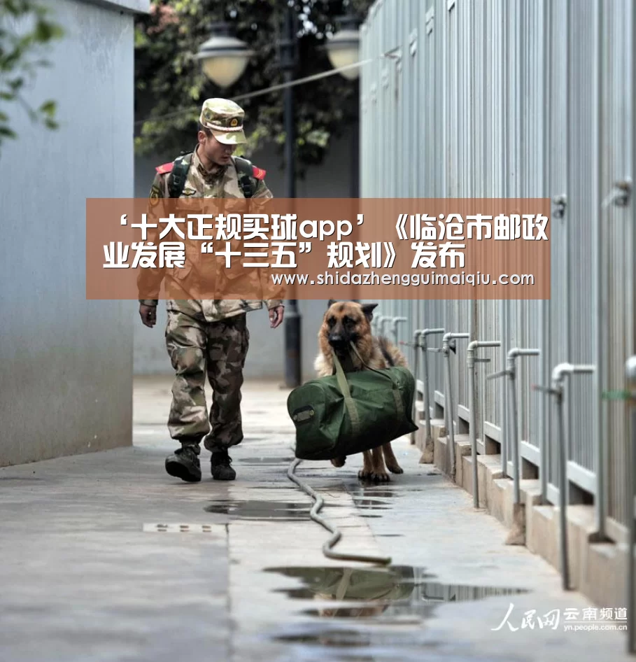 ‘十大正规买球app’《临沧市邮政业发展“十三五”规划》发布(图1) 十大正规买球app官网
