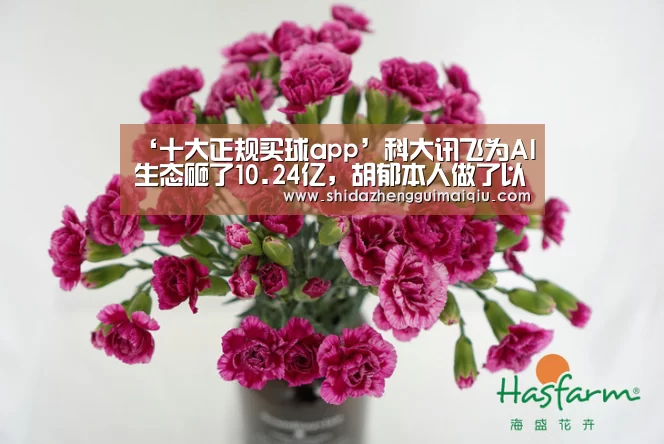 ‘十大正规买球app’科大讯飞为AI生态砸了10.24亿,胡郁本人做了以下回应(图4) 买球app官网