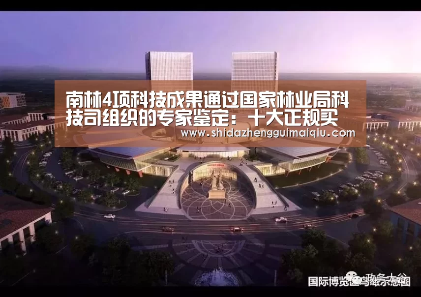 十大正规买球app