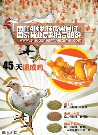 买球app官网