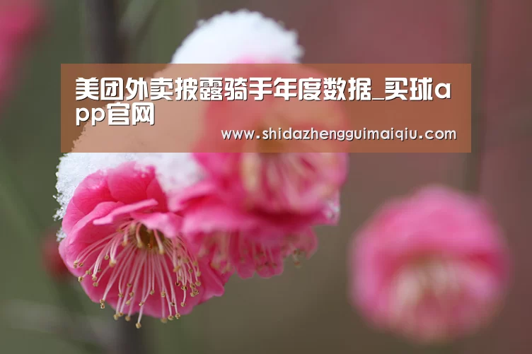 美团外卖披露骑手年度数据_买球app官网(图4) 十大正规买球app官网