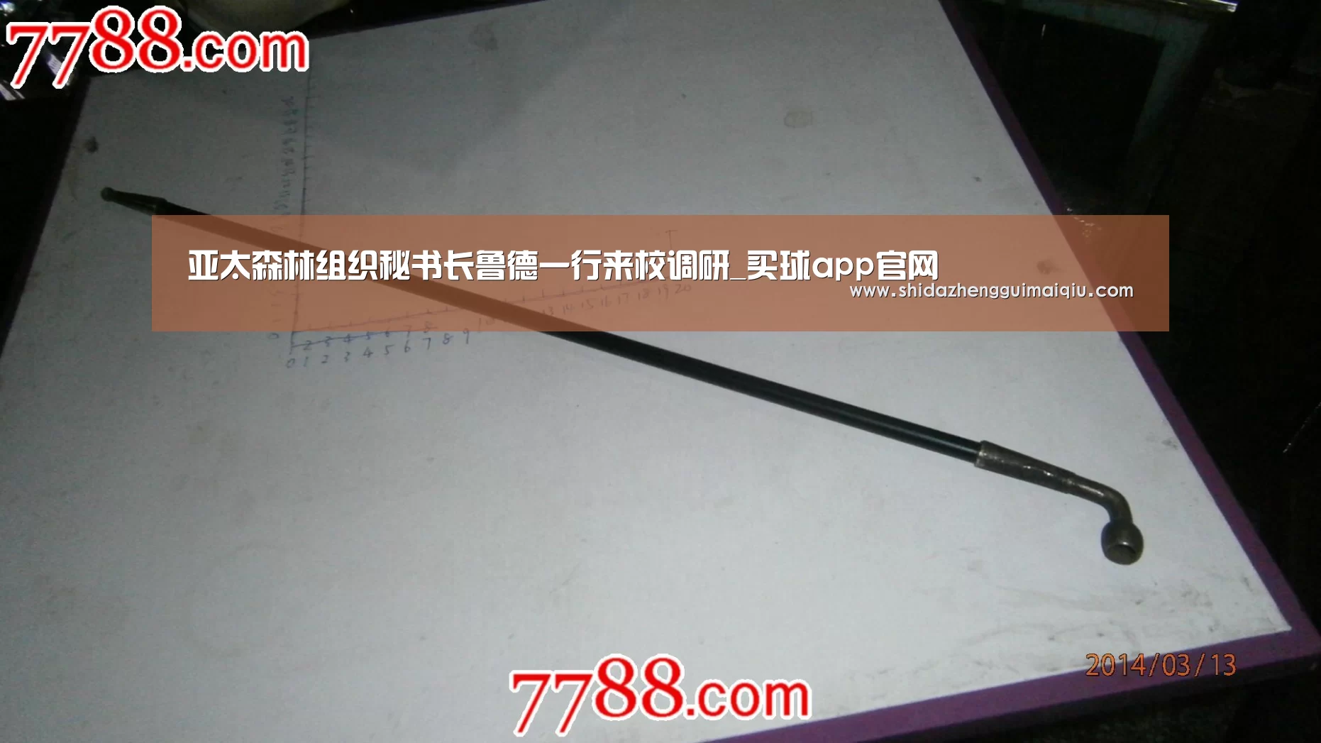 亚太森林组织秘书长鲁德一行来校调研_买球app官网(图2) 十大正规买球app官网