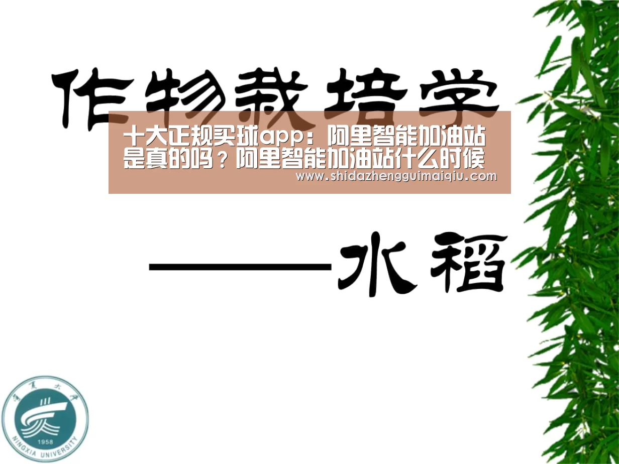 十大正规买球app:阿里智能加油站是真的吗?阿里智能加油站什么时候开建出现?(图4) 十大正规买球app官网