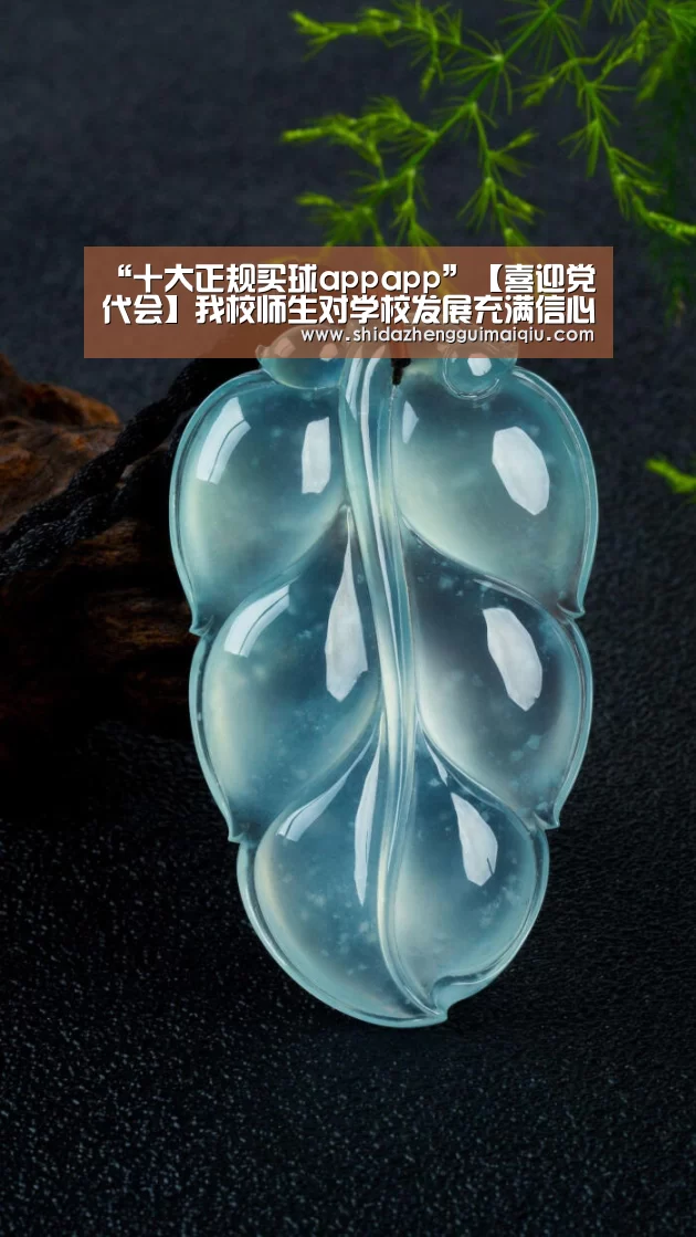 “十大正规买球appapp”【喜迎党代会】我校师生对学校发展充满信心(图2) 十大正规买球appapp
