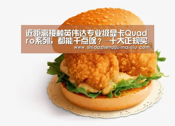 近距离接触英伟达专业级显卡Quadro系列,都能干点啥?-十大正规买球appapp(图1) 买球app官网