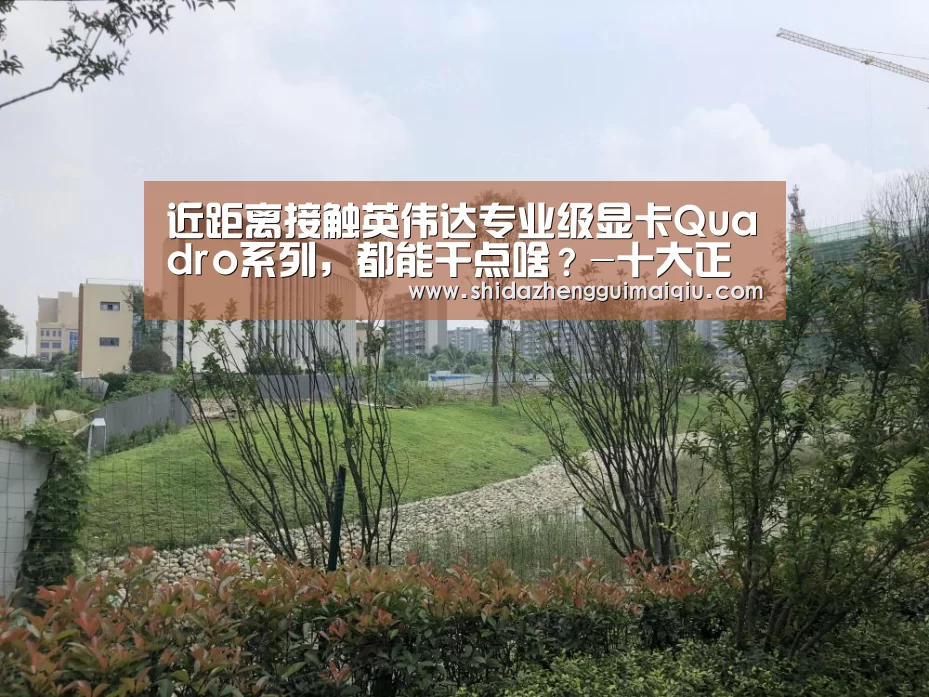 近距离接触英伟达专业级显卡Quadro系列,都能干点啥?-十大正规买球appapp(图2) 买球app官网
