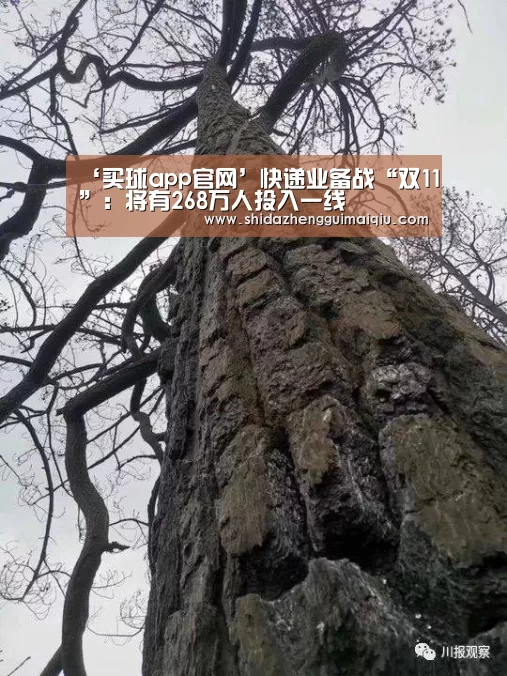‘买球app官网’快递业备战“双11”:将有268万人投入一线(图2) 十大正规买球app